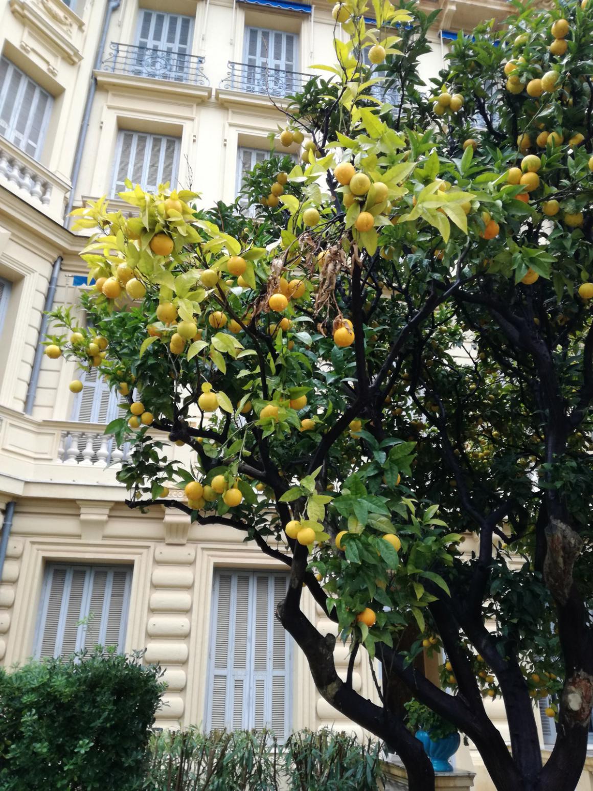 ristrutturazione appartamento 2 COSTA AZZURRA 4